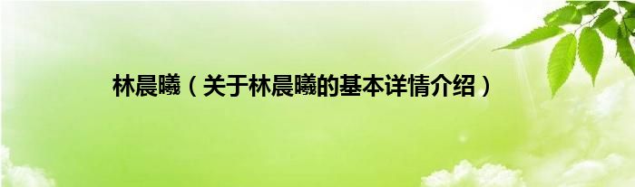 林晨曦（关于林晨曦的基本详情介绍）