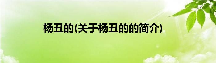 杨丑的(关于杨丑的的简介)