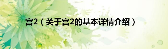 宫2（关于宫2的基本详情介绍）