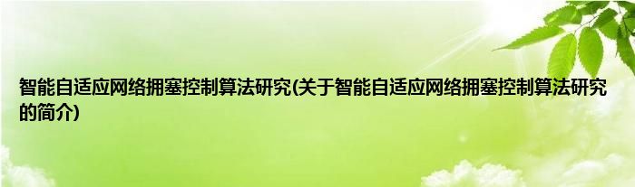 智能自适应网络拥塞控制算法研究(关于智能自适应网络拥塞控制算法研究的简介)