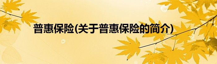 普惠保险(关于普惠保险的简介)