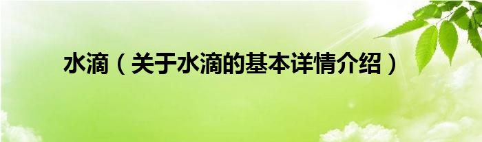 水滴（关于水滴的基本详情介绍）