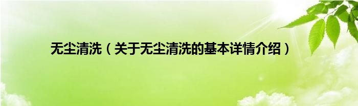 无尘清洗（关于无尘清洗的基本详情介绍）
