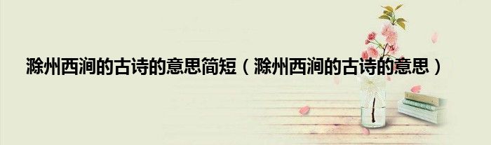 滁州西涧的古诗的意思简短（滁州西涧的古诗的意思）