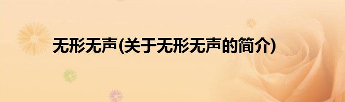 无形无声(关于无形无声的简介)