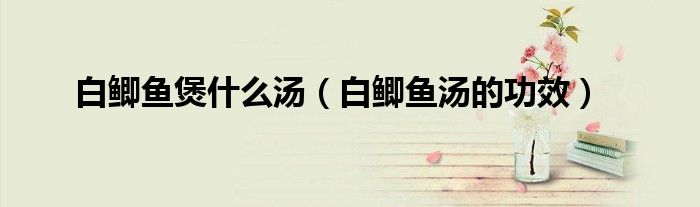 白鲫鱼煲什么汤（白鲫鱼汤的功效）