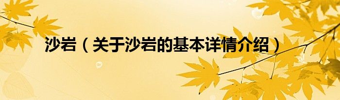 沙岩（关于沙岩的基本详情介绍）