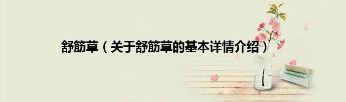 舒筋草（关于舒筋草的基本详情介绍）