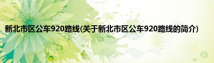新北市区公车920路线(关于新北市区公车920路线的简介)