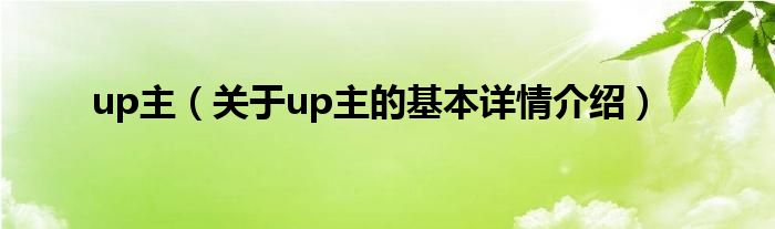 up主（关于up主的基本详情介绍）