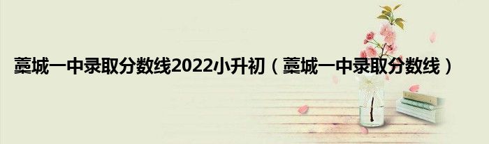 藁城一中录取分数线2022小升初（藁城一中录取分数线）
