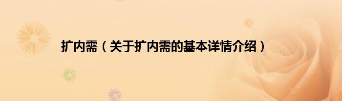 扩内需（关于扩内需的基本详情介绍）