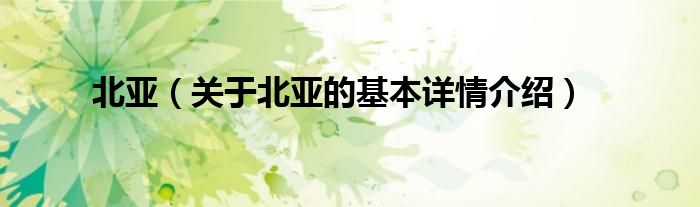 北亚（关于北亚的基本详情介绍）