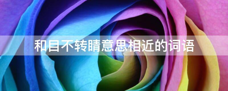 和目不转睛意思相近的词语