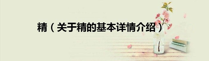 精（关于精的基本详情介绍）