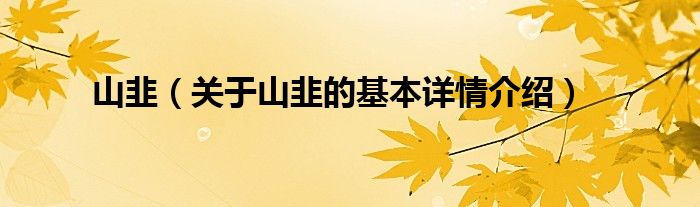 山韭（关于山韭的基本详情介绍）