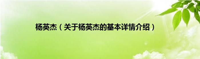 杨英杰（关于杨英杰的基本详情介绍）