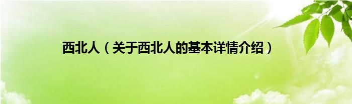 西北人（关于西北人的基本详情介绍）