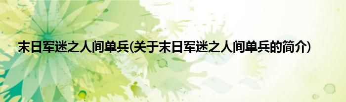 末日军迷之人间单兵(关于末日军迷之人间单兵的简介)