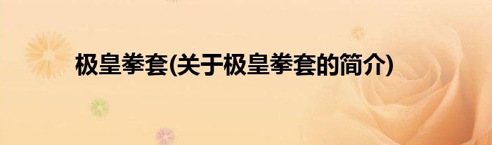 极皇拳套(关于极皇拳套的简介)