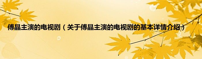 傅晶主演的电视剧（关于傅晶主演的电视剧的基本详情介绍）