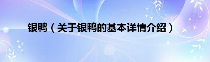 银鸭（关于银鸭的基本详情介绍）