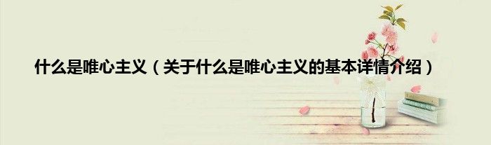 什么是唯心主义（关于什么是唯心主义的基本详情介绍）