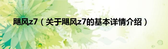 飓风z7（关于飓风z7的基本详情介绍）