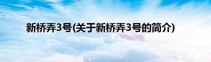 新桥弄3号(关于新桥弄3号的简介)