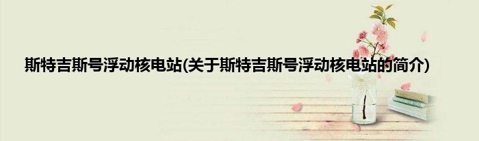 斯特吉斯号浮动核电站(关于斯特吉斯号浮动核电站的简介)