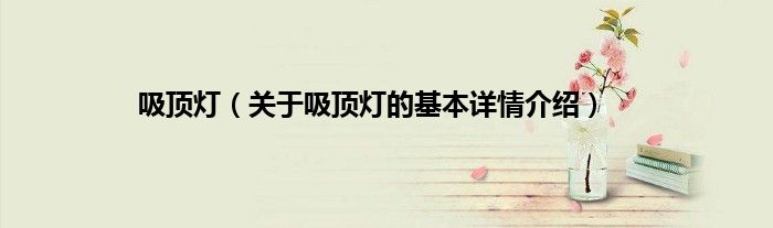 吸顶灯（关于吸顶灯的基本详情介绍）