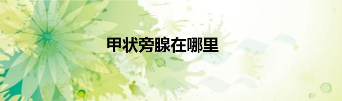 甲状旁腺在哪里