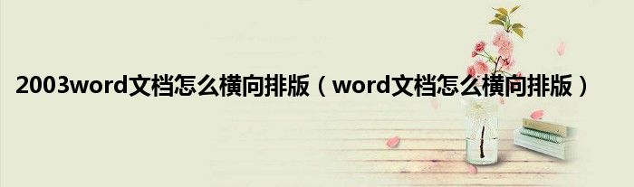 2003word文档怎么横向排版（word文档怎么横向排版）