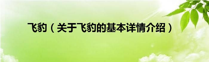 飞豹（关于飞豹的基本详情介绍）