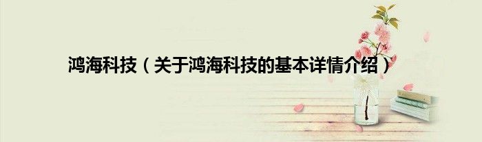 鸿海科技（关于鸿海科技的基本详情介绍）