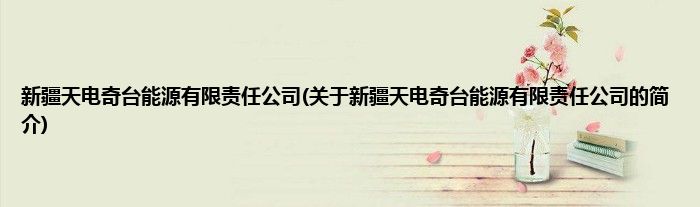 新疆天电奇台能源有限责任公司(关于新疆天电奇台能源有限责任公司的简介)