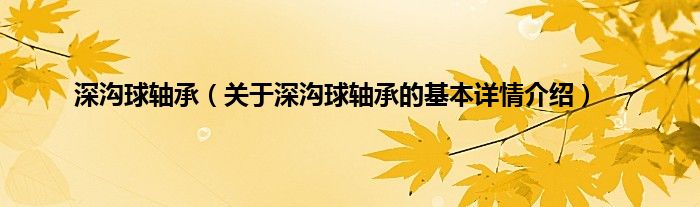 深沟球轴承（关于深沟球轴承的基本详情介绍）
