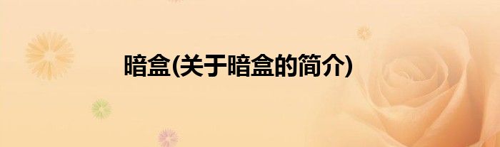 暗盒(关于暗盒的简介)