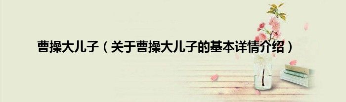 曹操大儿子（关于曹操大儿子的基本详情介绍）