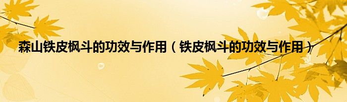 森山铁皮枫斗的功效与作用（铁皮枫斗的功效与作用）