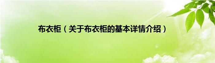 布衣柜（关于布衣柜的基本详情介绍）
