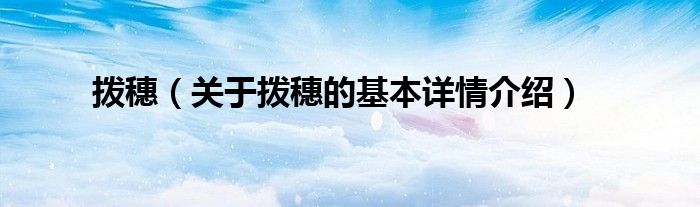 拨穗（关于拨穗的基本详情介绍）