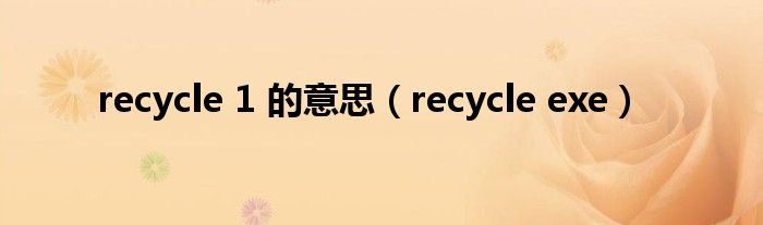 recycle 1 的意思（recycle exe）