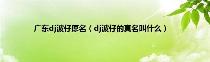 广东dj波仔原名（dj波仔的真名叫什么）