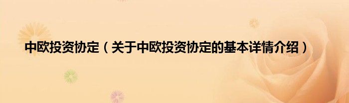 中欧投资协定（关于中欧投资协定的基本详情介绍）