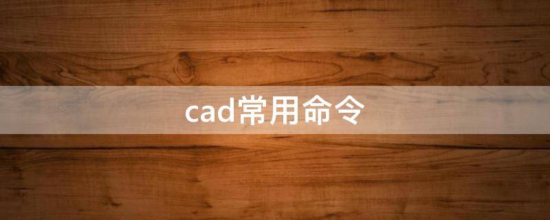 cad常用命令
