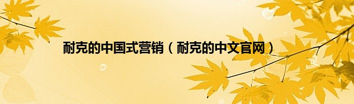 耐克的中国式营销（耐克的中文官网）