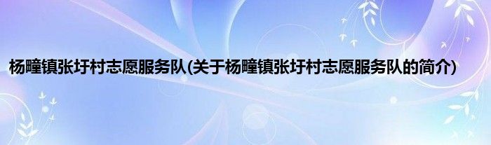 杨疃镇张圩村志愿服务队(关于杨疃镇张圩村志愿服务队的简介)