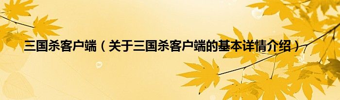 三国杀客户端（关于三国杀客户端的基本详情介绍）