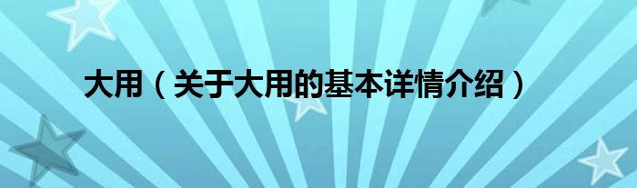 大用（关于大用的基本详情介绍）